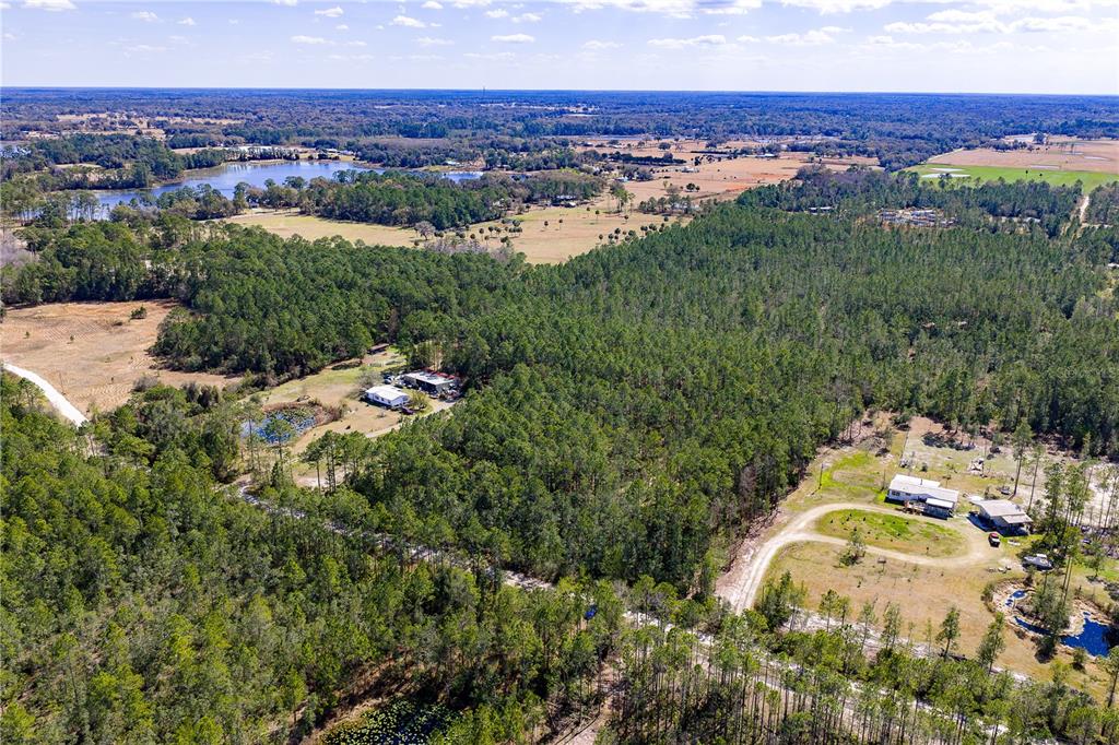 480 Pasture Road De Leon Springs, FL 32130 - Photo 4 of 6
