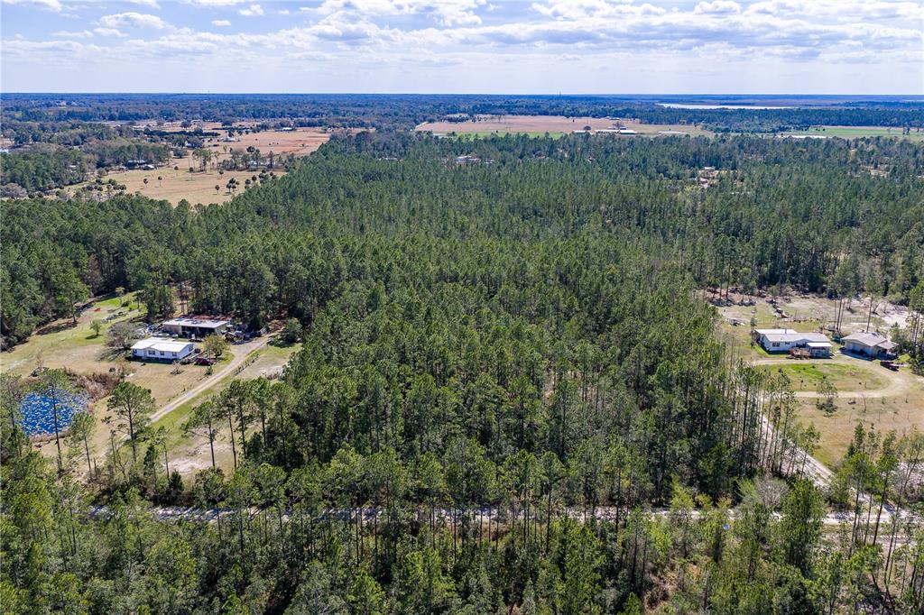 480 Pasture Road De Leon Springs, FL 32130 - Photo 6 of 6