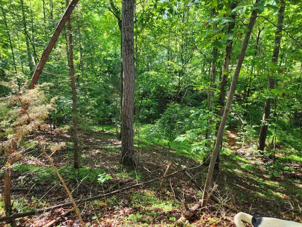 $80,000 | Lot 31 Forest Shores Road, Wirtz, VA 24184