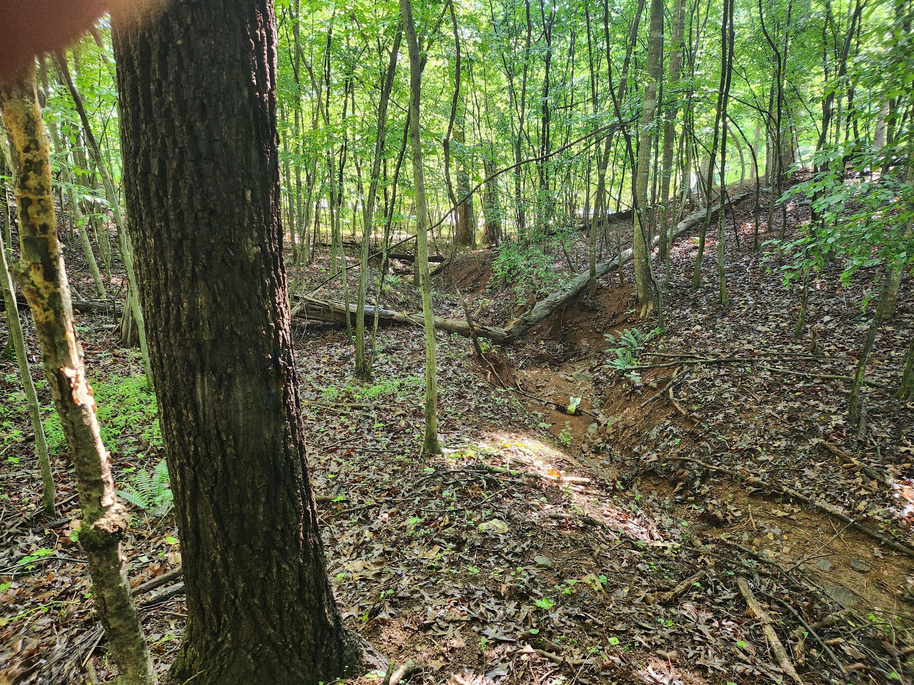 Lot 31 Forest Shores Road Wirtz, VA 24184 - Photo 2 of 8 1000003362