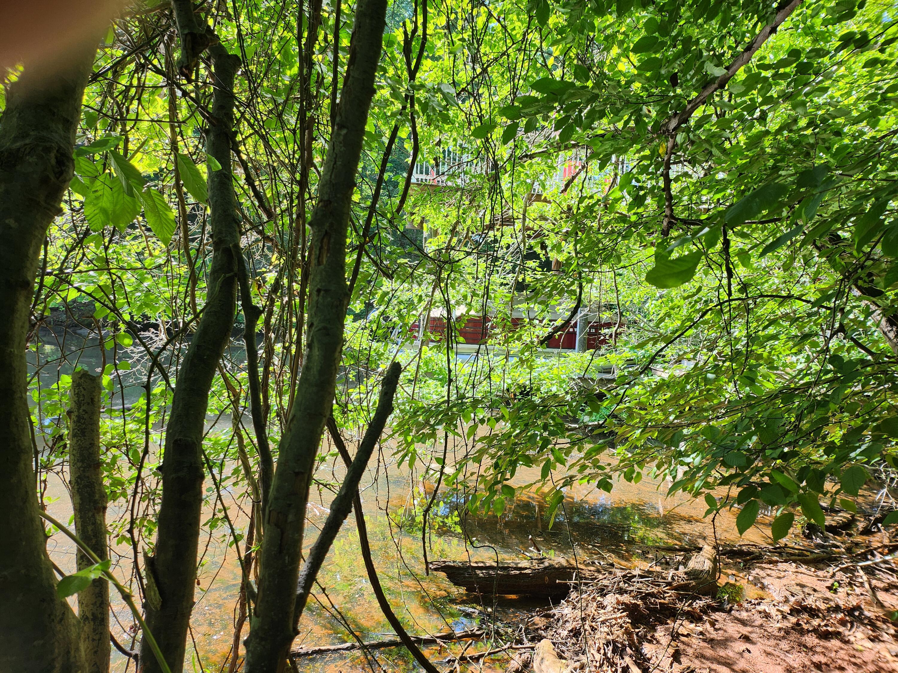 Lot 31 Forest Shores Road Wirtz, VA 24184 - Photo 7 of 8 1000003370