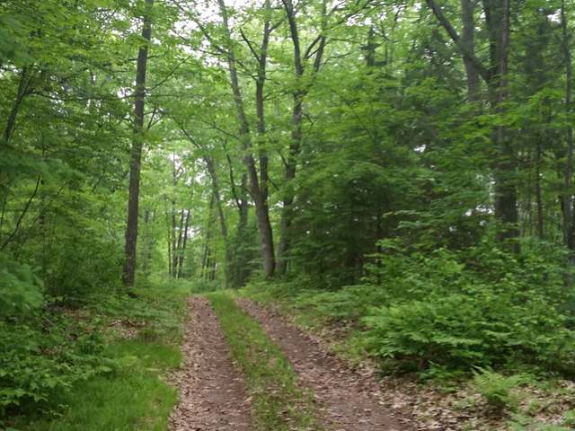 5940 Forest Loop Drive Rhinelander, WI 54501 - Photo 17 of 20 Gallery Image 17