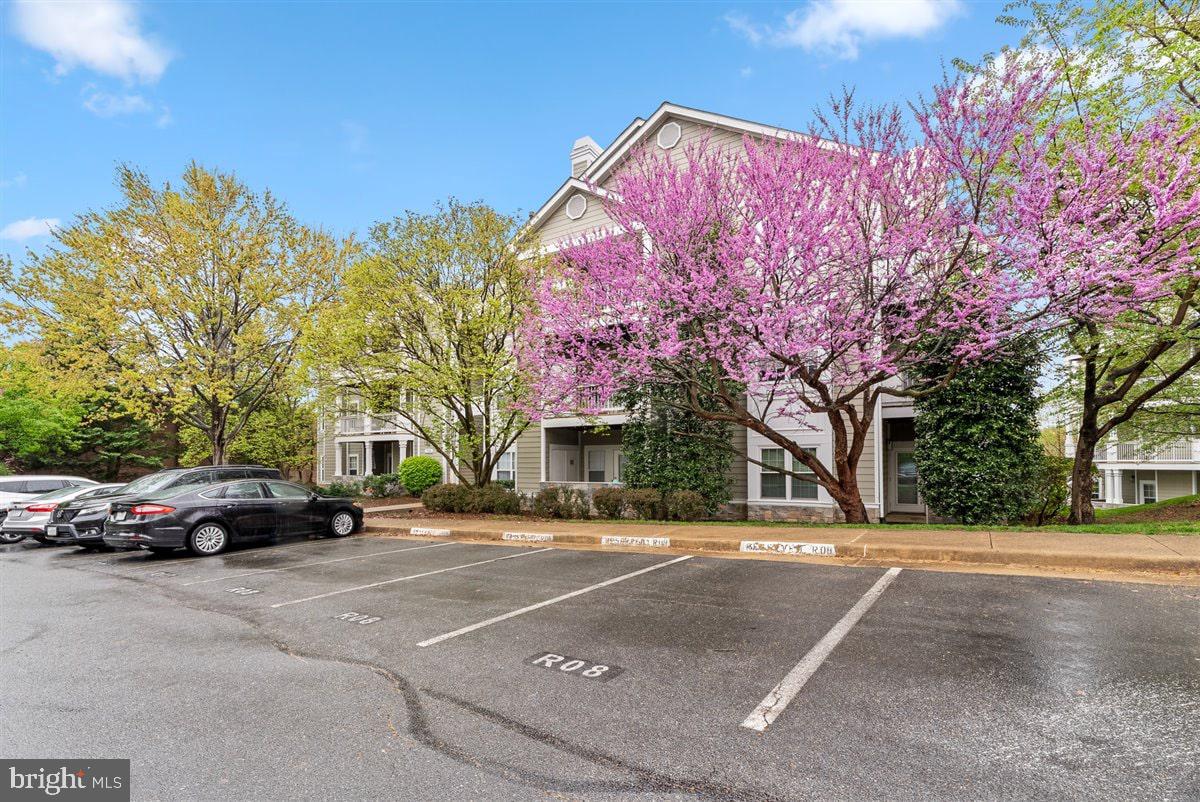 1708 Lake Shore Crest Drive, Unit 24 Reston, VA 20190 - Photo 2 of 25