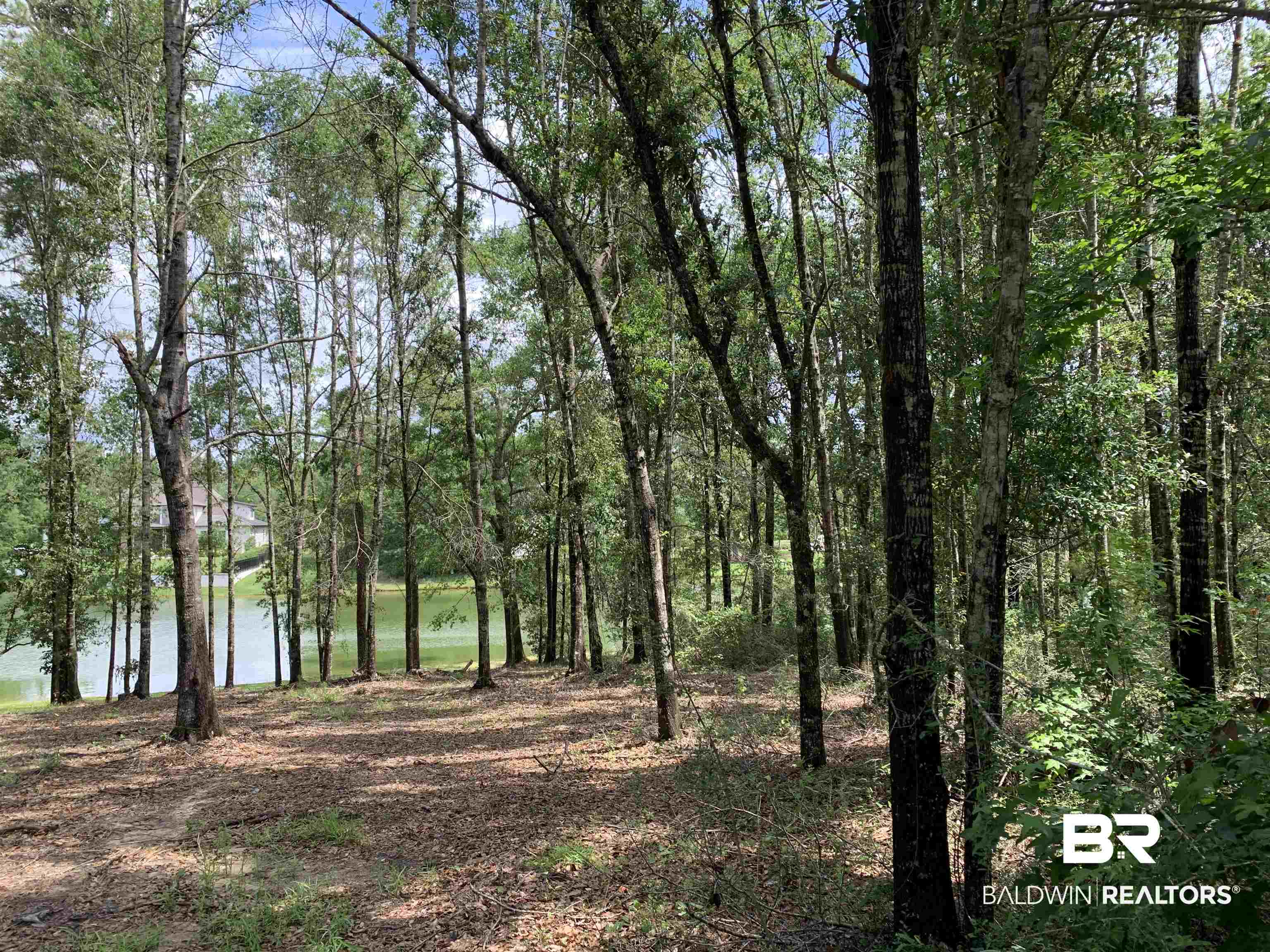 Lot 68 Sand Bar Lane Fairhope, AL 36532 - Photo 14 of 17
