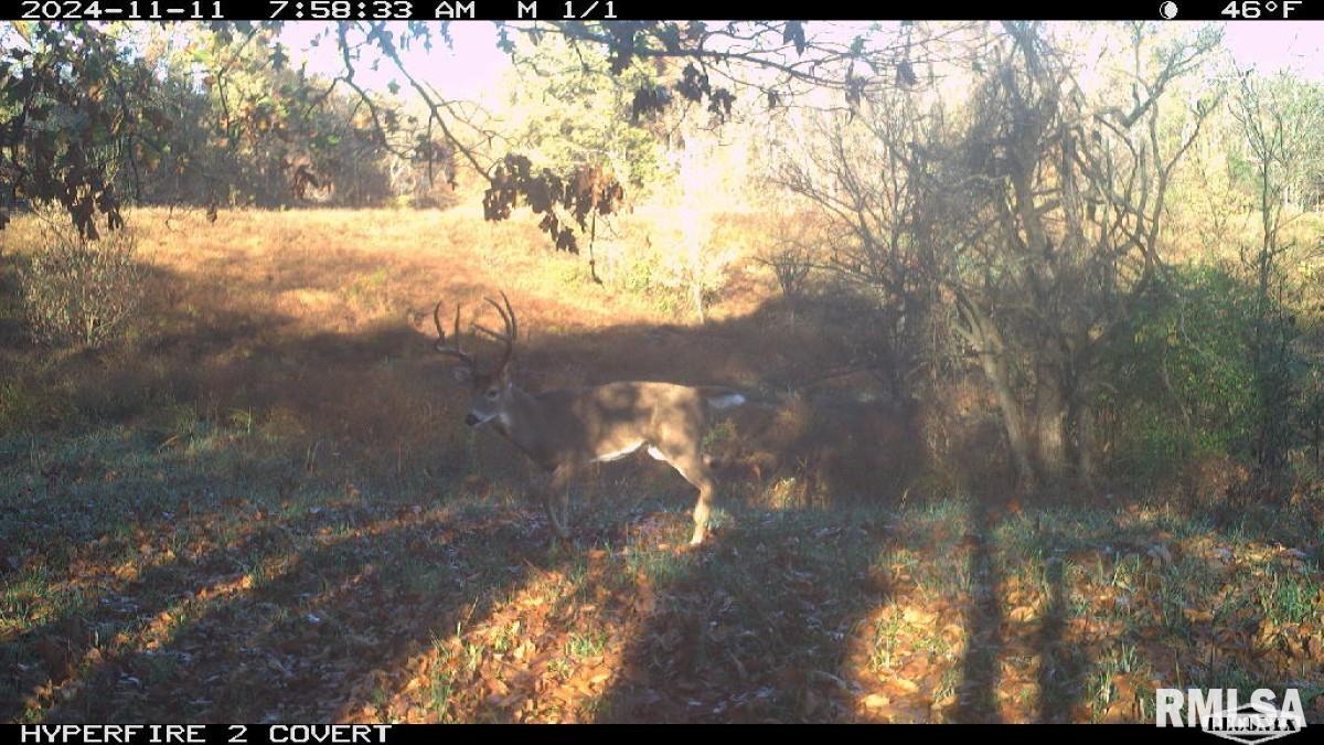 0 Goodman Pond Road Dongola, IL 62926 - Photo 3 of 72 Gallery Image 3