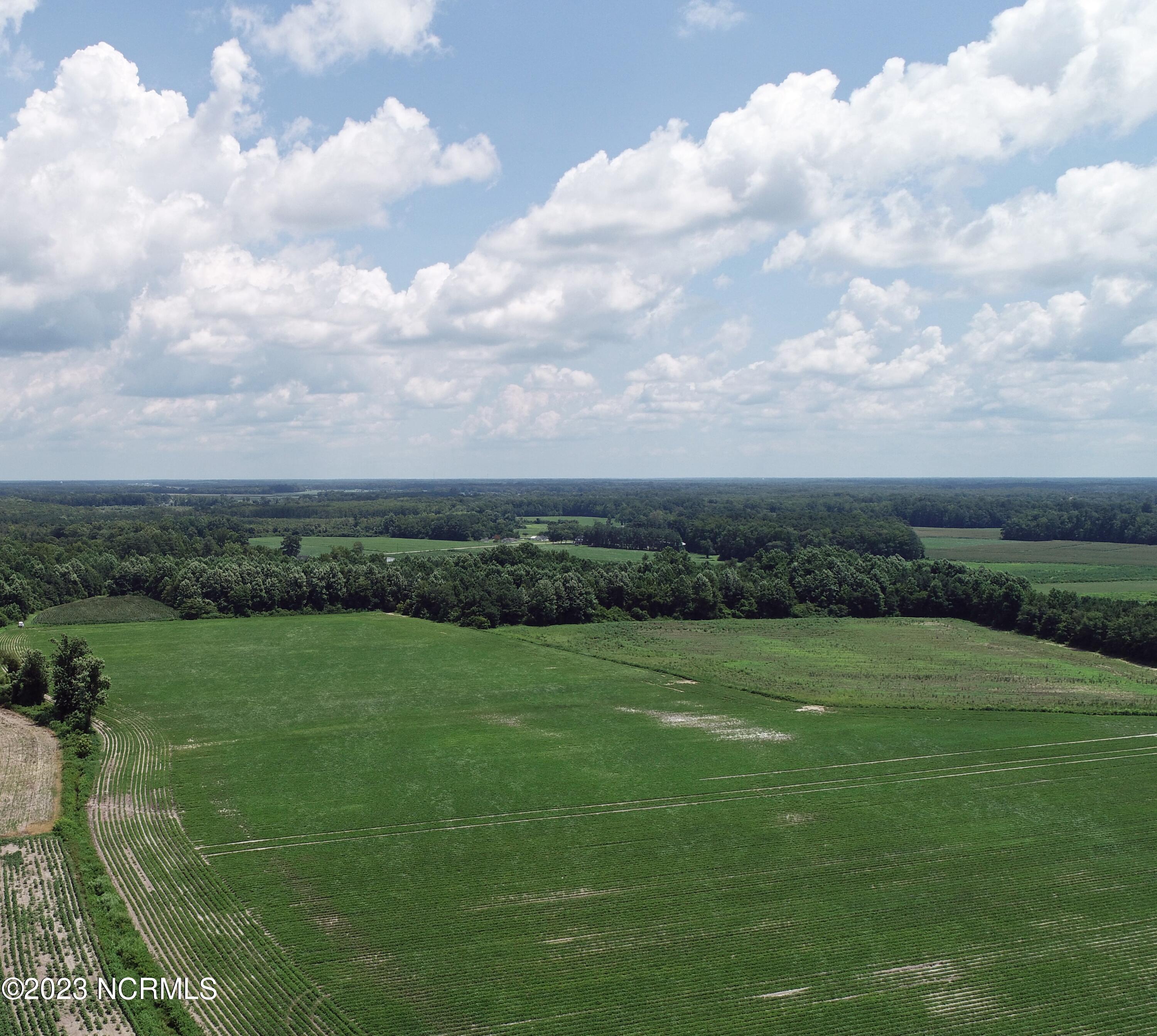 0 Belvidere Road Belvidere, NC 27919 - Photo 3 of 7 Farm1 (2)