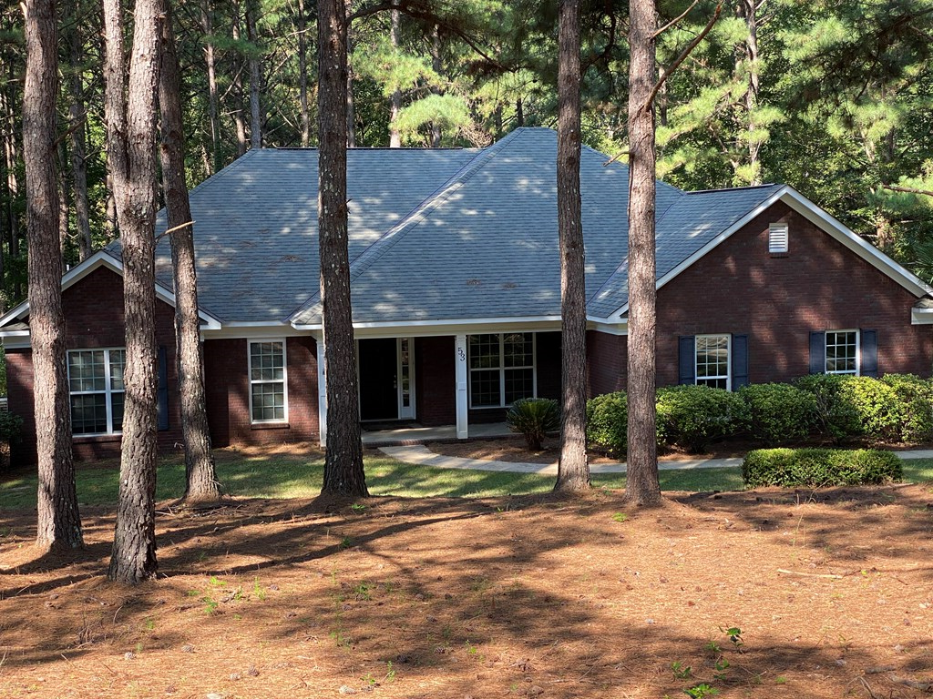 53 Roseanne Loop Hamilton, GA 31811 - Photo 3 of 31 Gallery Image 3