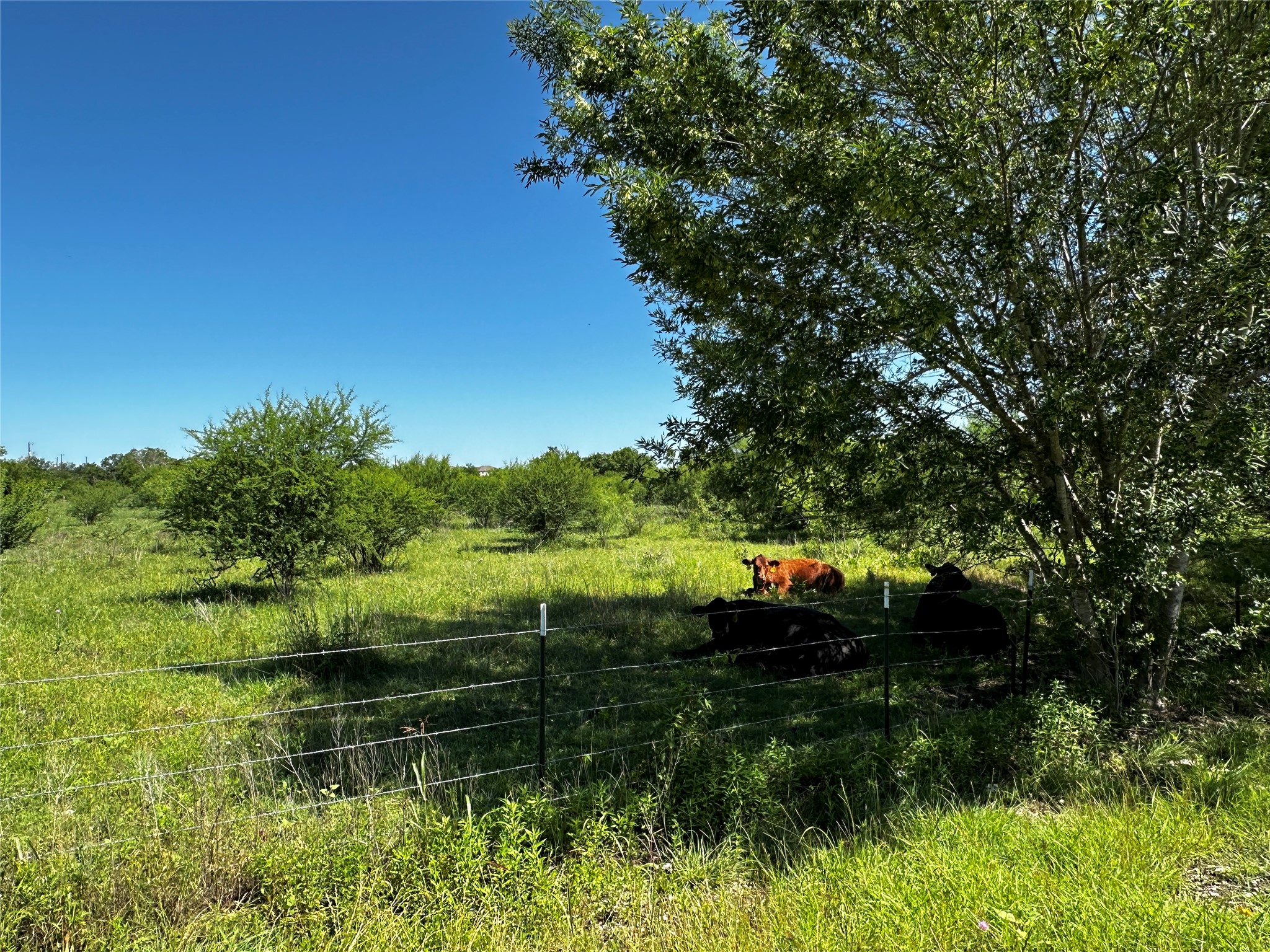 Tbd Scott Street Kyle, TX 78640 - Photo 16 of 30 a view of lake