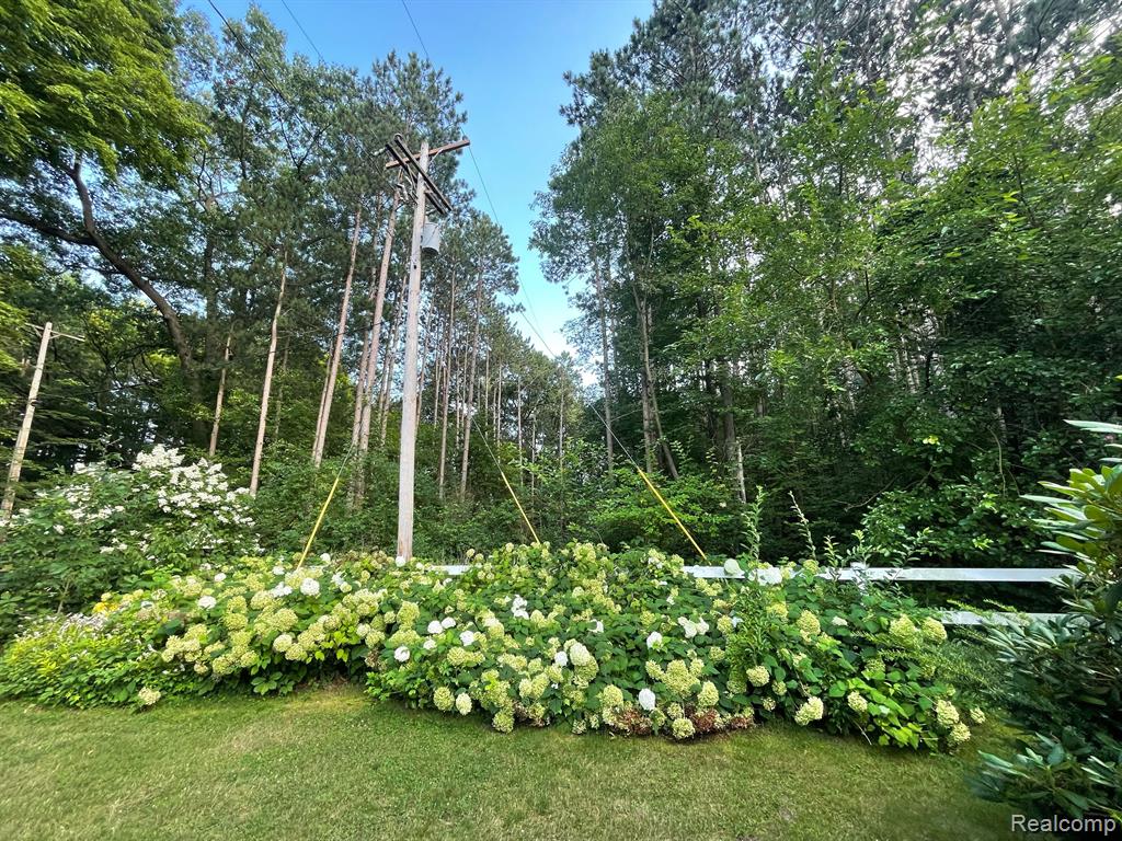 8874 Lansing Avenue Rives Junction, MI 49277 - Photo 17 of 19
