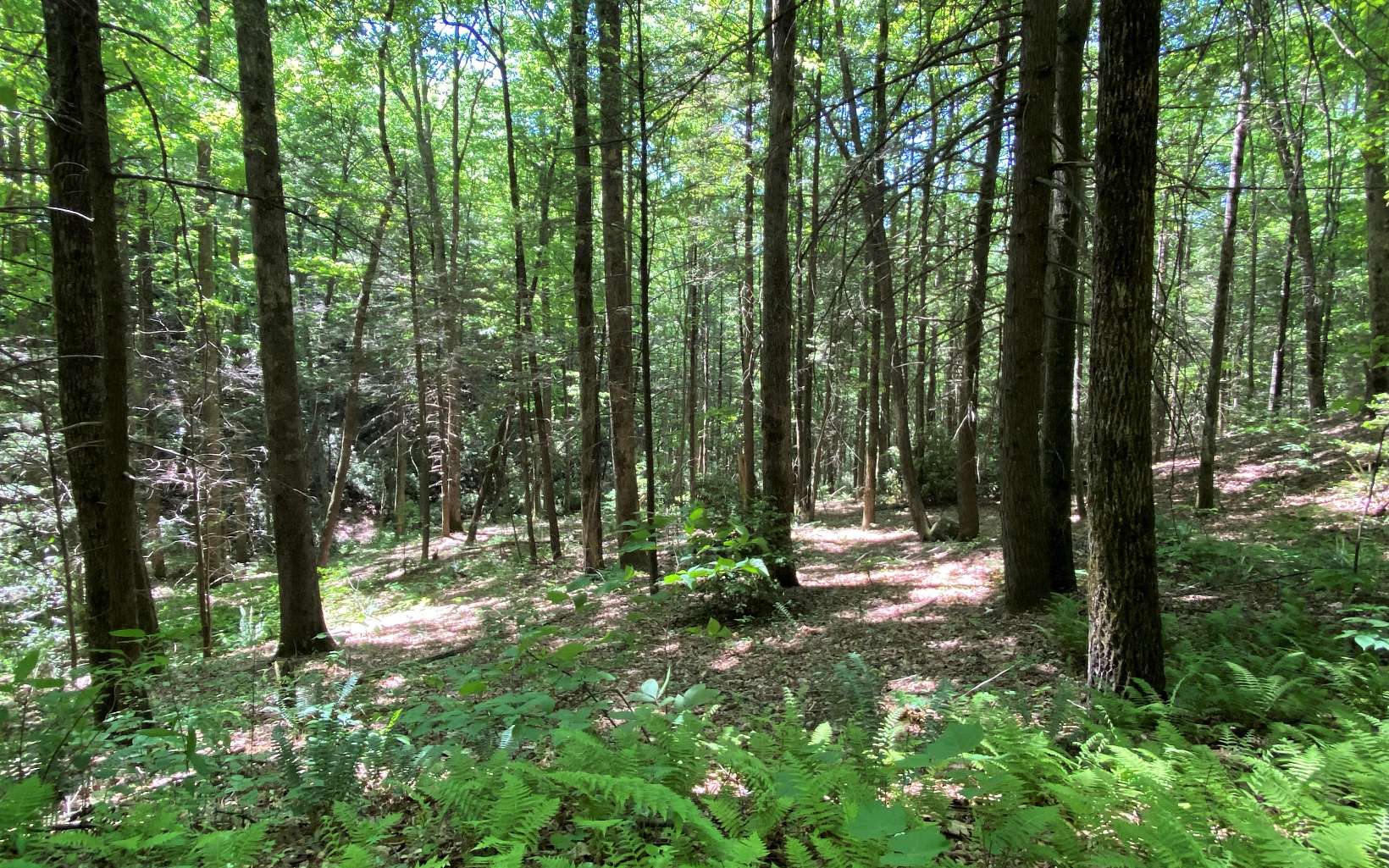 Na Copper Creek Road Murphy, NC 28906 - Photo 5 of 23 Additional View
