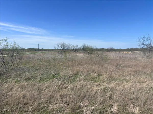 a view of a lake from a yard