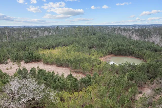 a view of a city with lush green forest