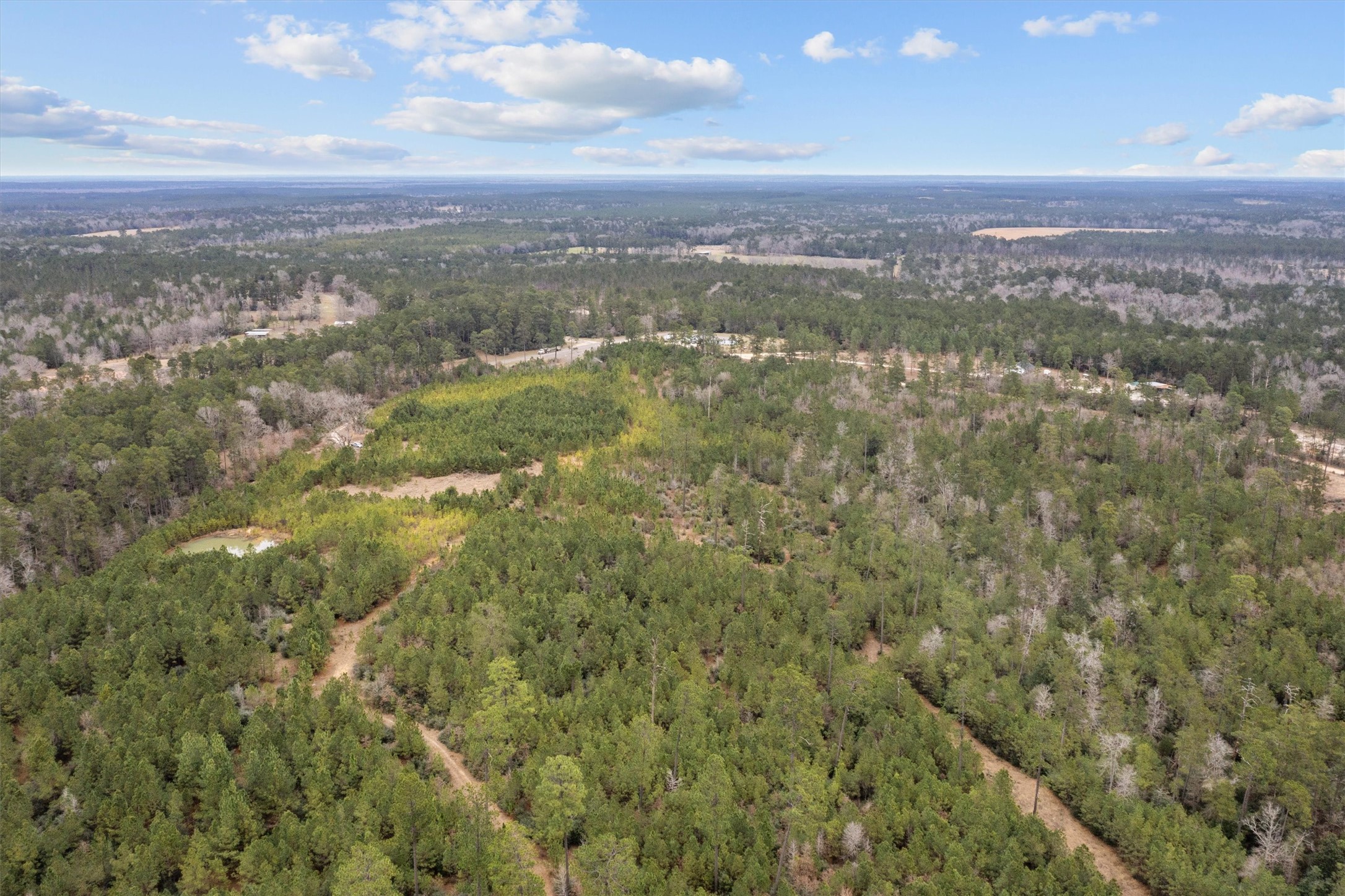 9422 Farm To Market 62 Corrigan, TX 75939 - Photo 16 of 30 a view of a city with mountains