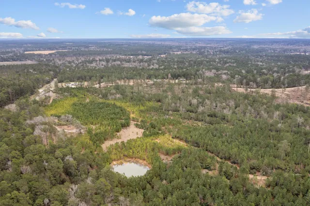 a view of a city with lush green forest