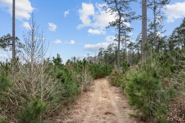 a view of a large yard with lots of green space
