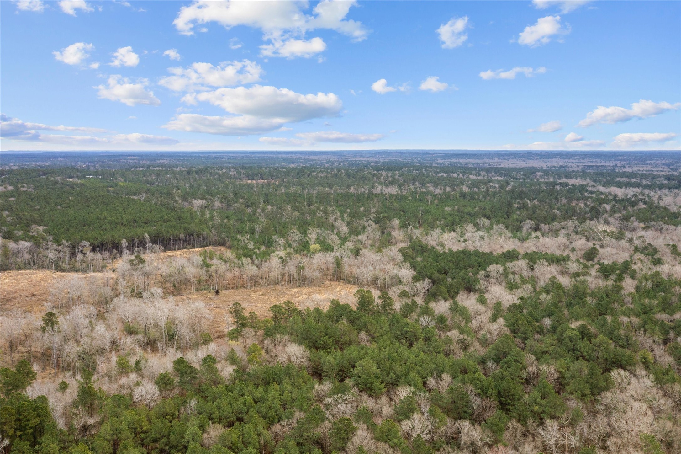 9422 Farm To Market 62 Corrigan, TX 75939 - Photo 21 of 30 a view of a city with lush green forest