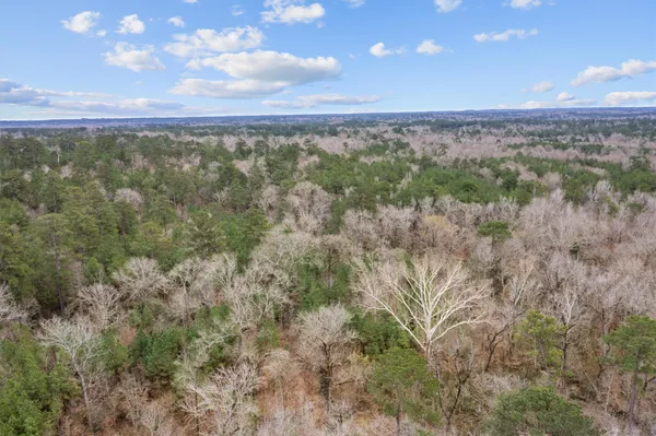 a view of a bunch of trees