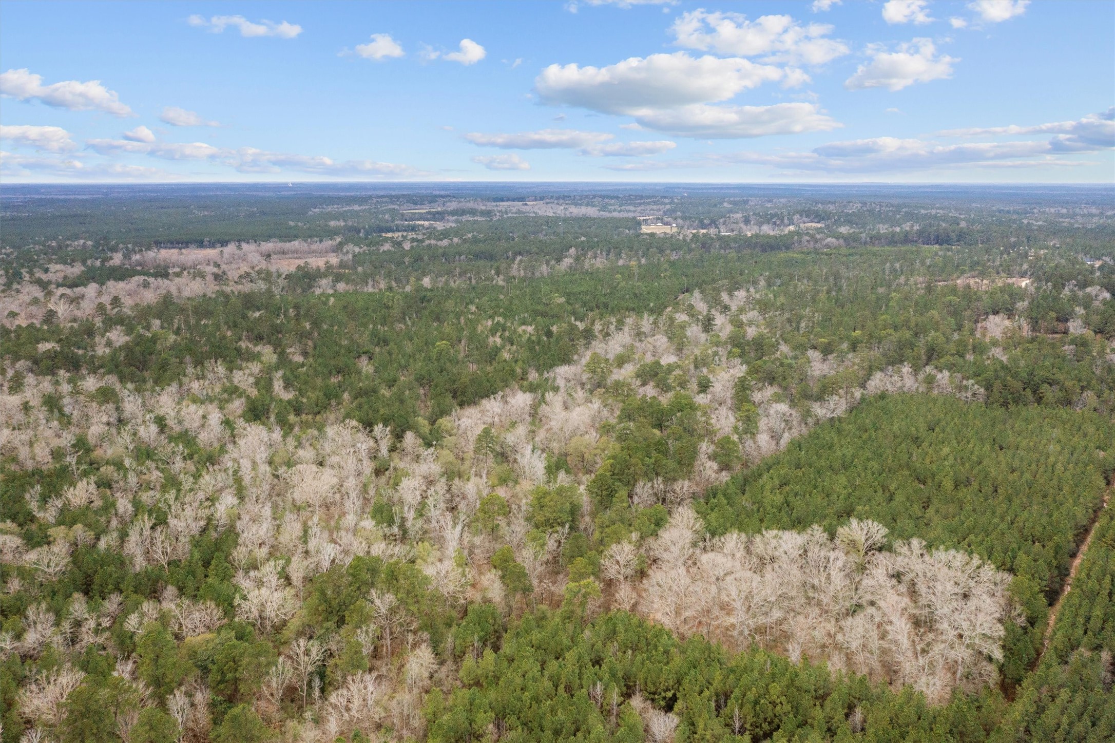 9422 Farm To Market 62 Corrigan, TX 75939 - Photo 24 of 30 a view of city and mountain