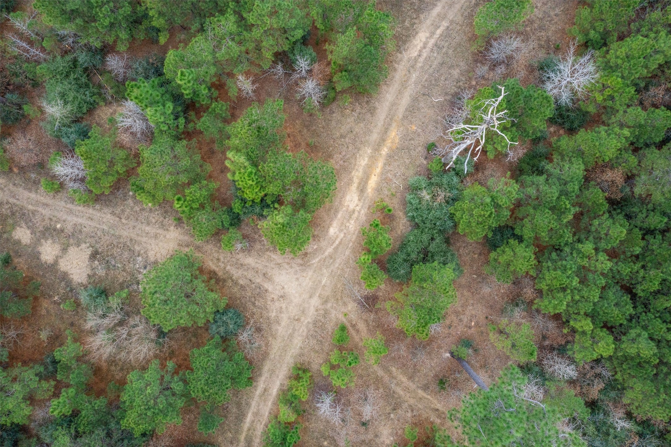 9422 Farm To Market 62 Corrigan, TX 75939 - Photo 27 of 30