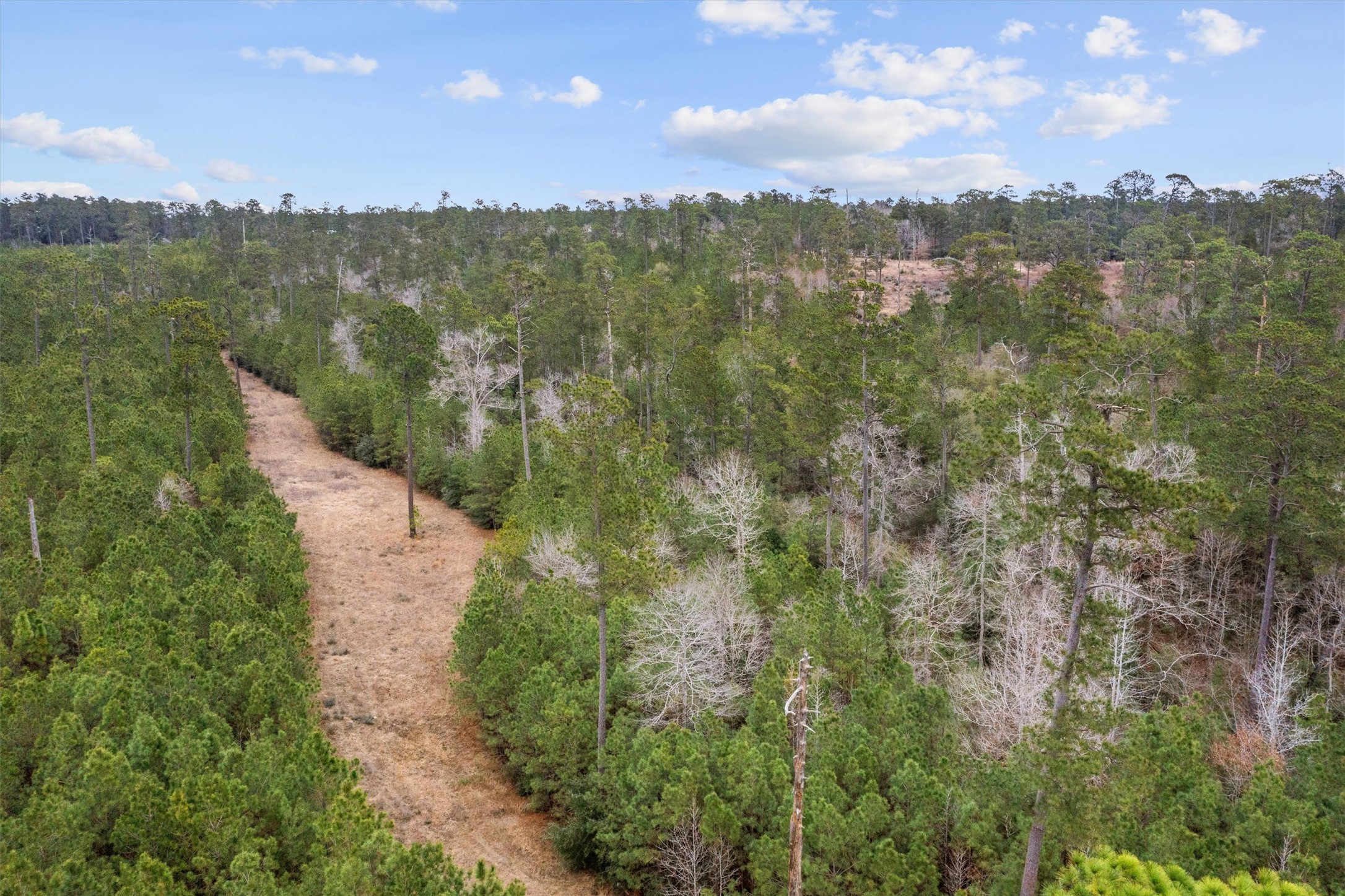 9422 Farm To Market 62 Corrigan, TX 75939 - Photo 28 of 30 a view of a city