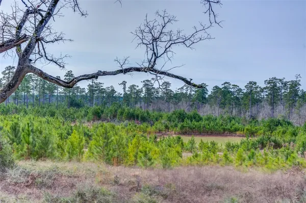 a view of a lake with a yard and large trees