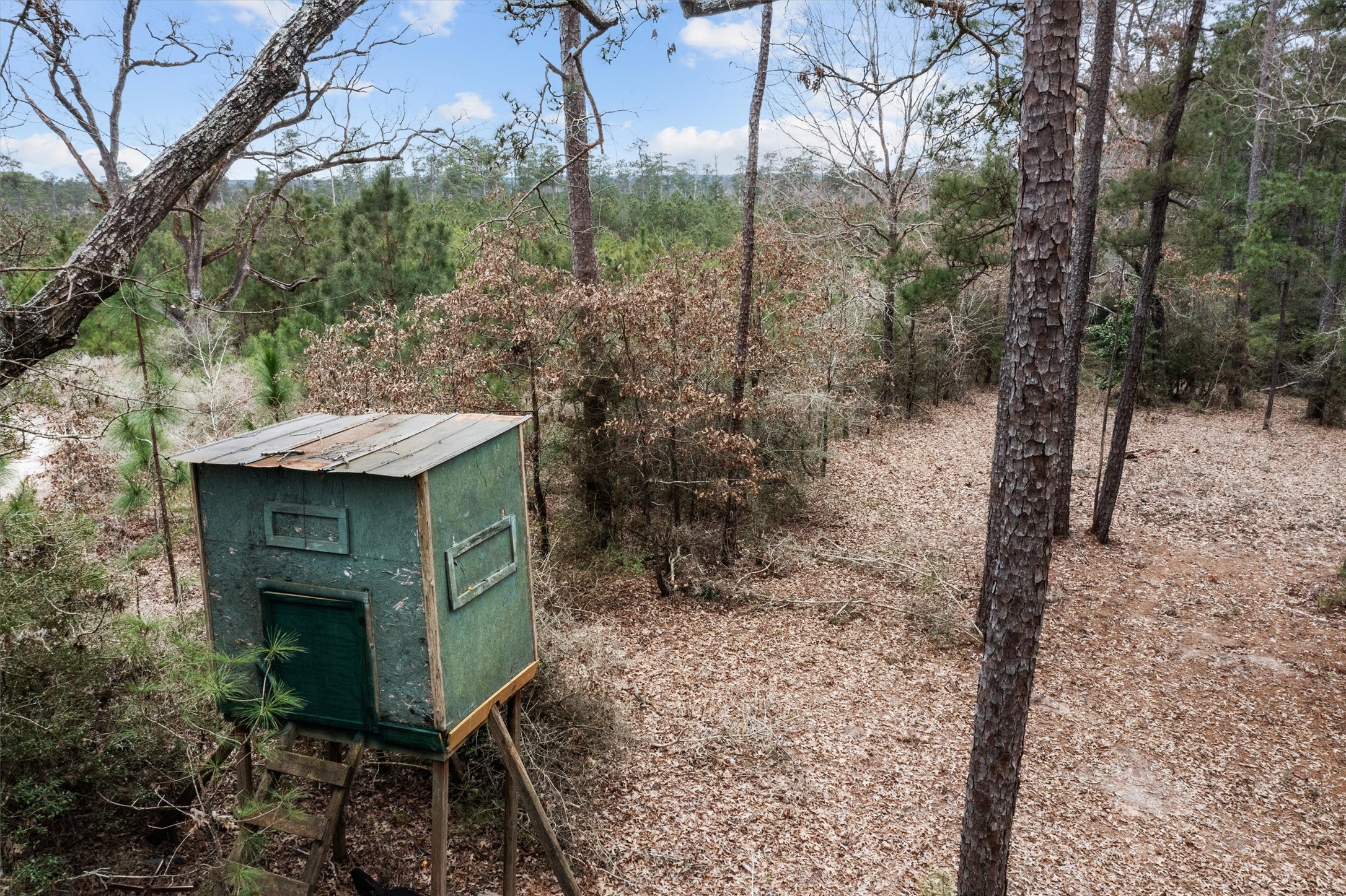 9422 Farm To Market 62 Corrigan, TX 75939 - Photo 4 of 30 a view of a pathway of a house