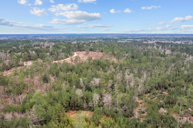 a view of a city with lush green forest