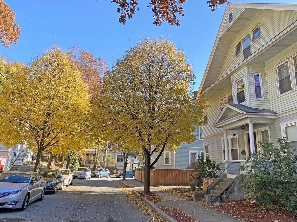 26 Playstead Road Newton, MA 02458 - Photo 33 of 34 Gallery Image 33