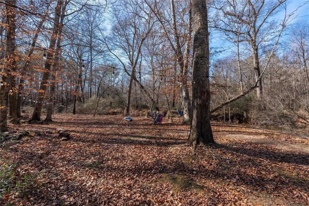 113 Golden Property Road Bremen, GA 30110 - Photo 40 of 49