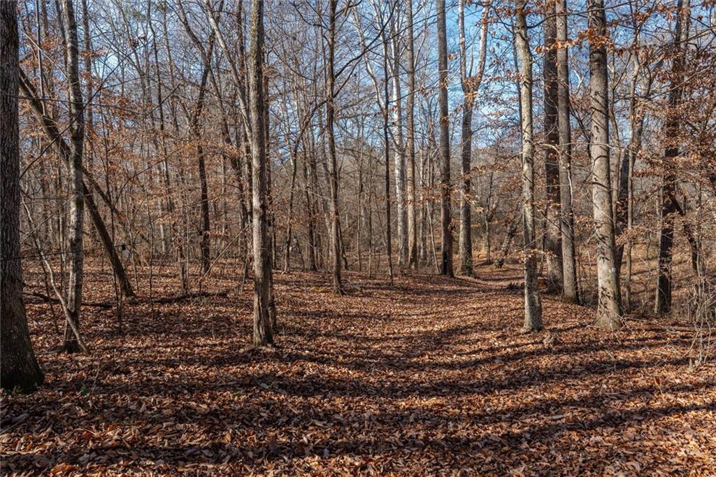 113 Golden Property Road Bremen, GA 30110 - Photo 43 of 49