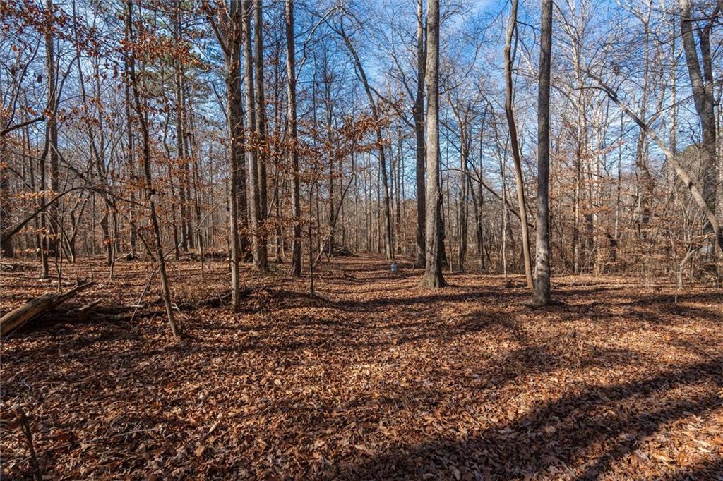 113 Golden Property Road Bremen, GA 30110 - Photo 44 of 49