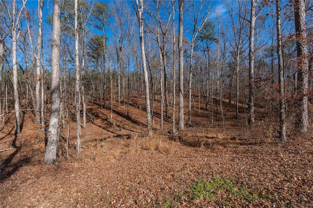 113 Golden Property Road Bremen, GA 30110 - Photo 45 of 49