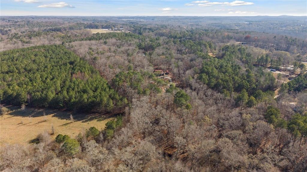 113 Golden Property Road Bremen, GA 30110 - Photo 47 of 49