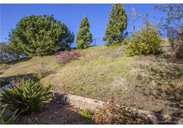 2230 Masters Road Carlsbad, CA 92008 - Photo 24 of 24 Privacy bank..Maybe you could terrace and plant fruit trees?