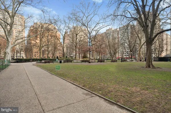 a view of yard with tree s