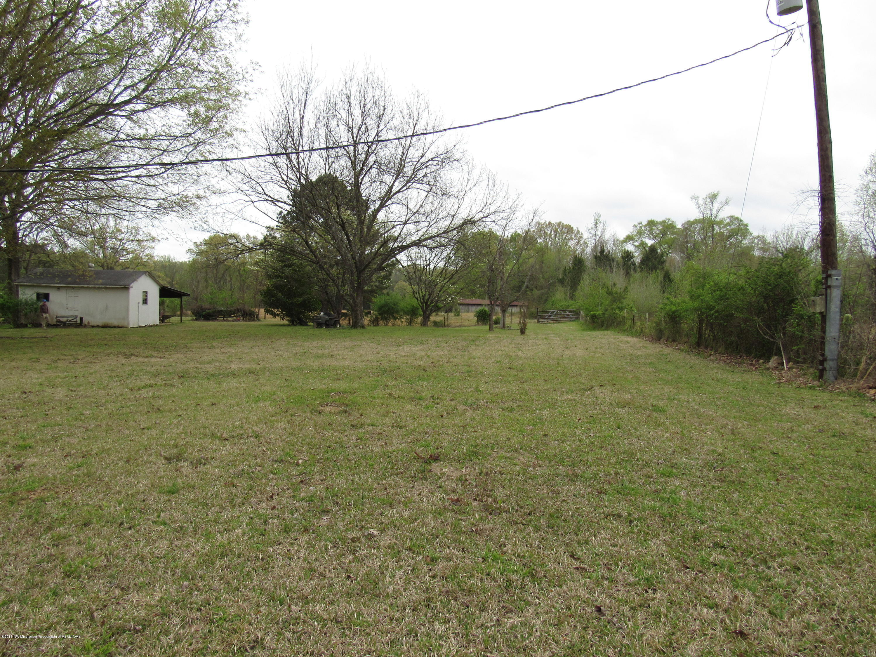 3785 Byhalia Road Hernando, MS 38632 - Photo 16 of 18 side yard