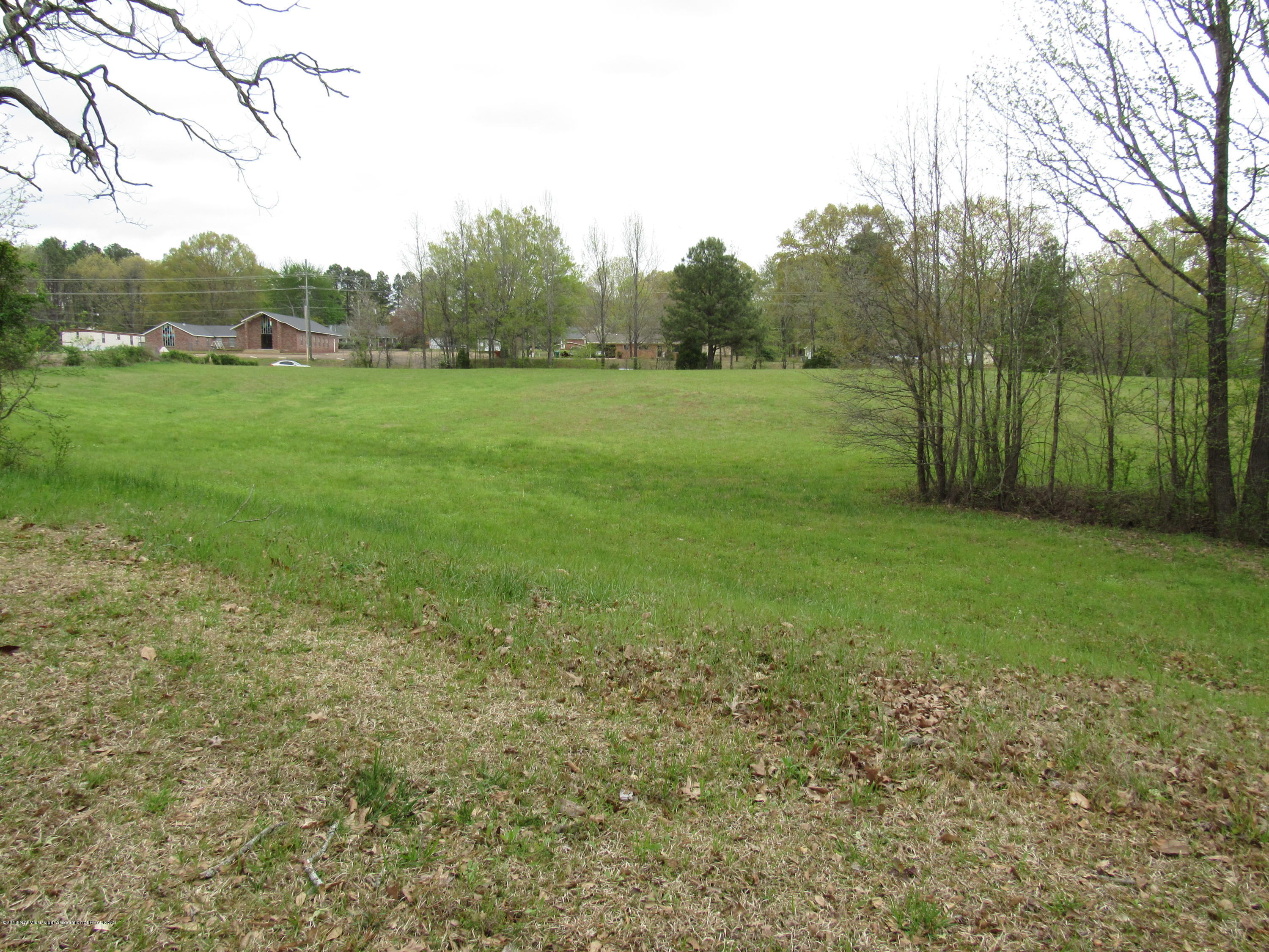 3785 Byhalia Road Hernando, MS 38632 - Photo 18 of 18 front yard view