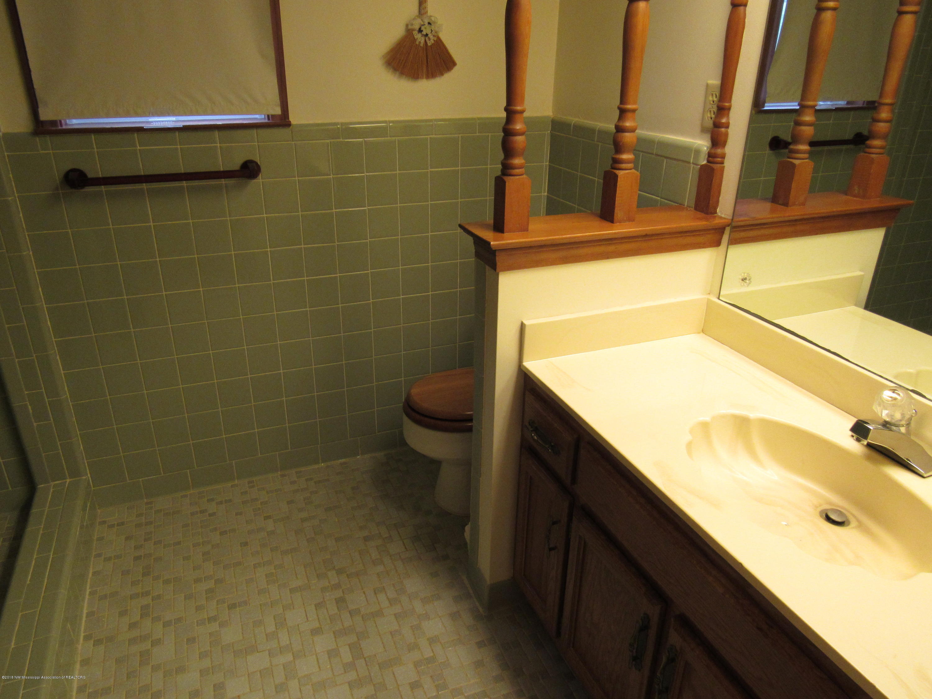 3785 Byhalia Road Hernando, MS 38632 - Photo 9 of 18 master bath