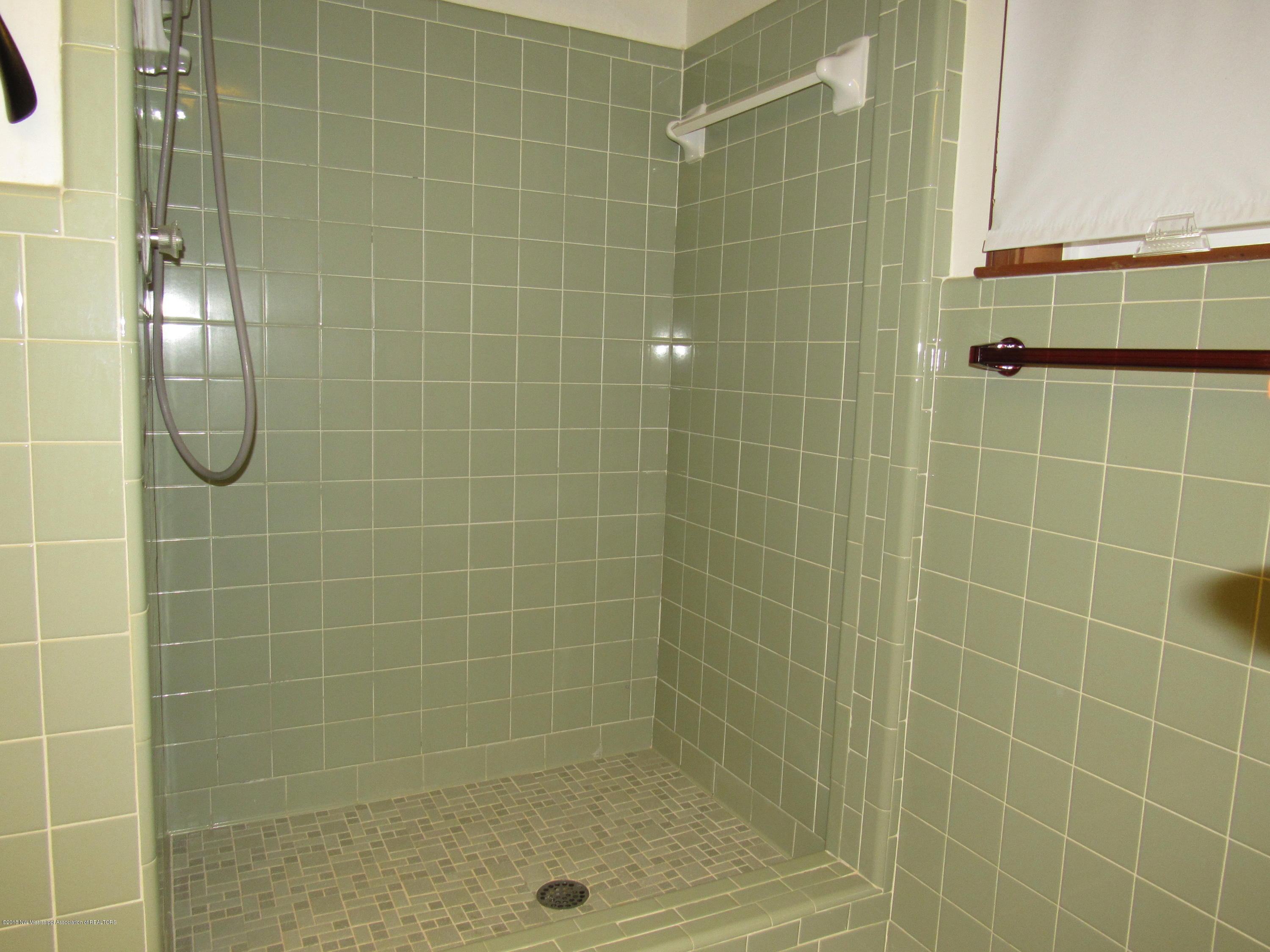 3785 Byhalia Road Hernando, MS 38632 - Photo 10 of 18 master bath shower
