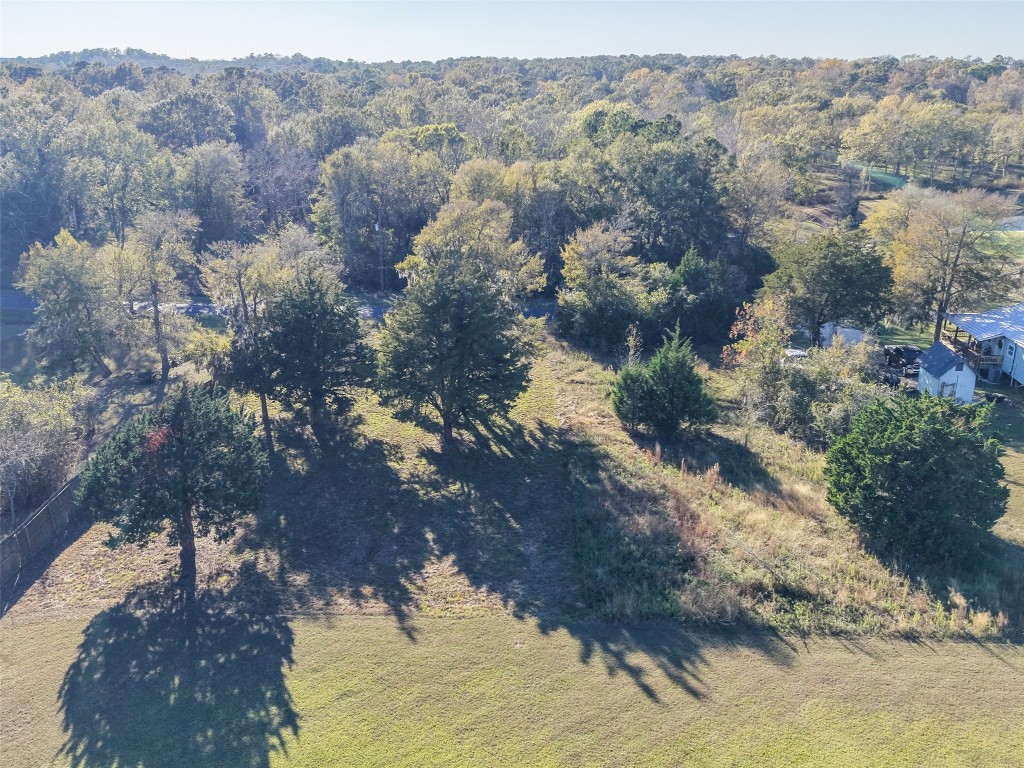 0 Paradise Drive Coldspring, TX 77331 - Photo 4 of 12 a view of a forest that has a tree