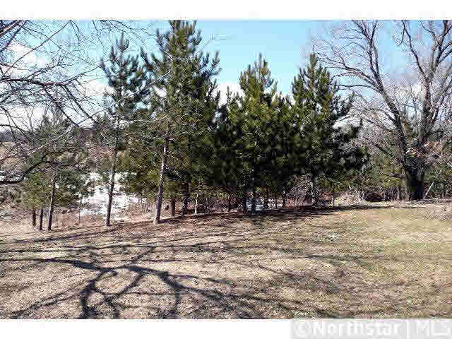 12271 Quail Road Avon, MN 56310 - Photo 11 of 18