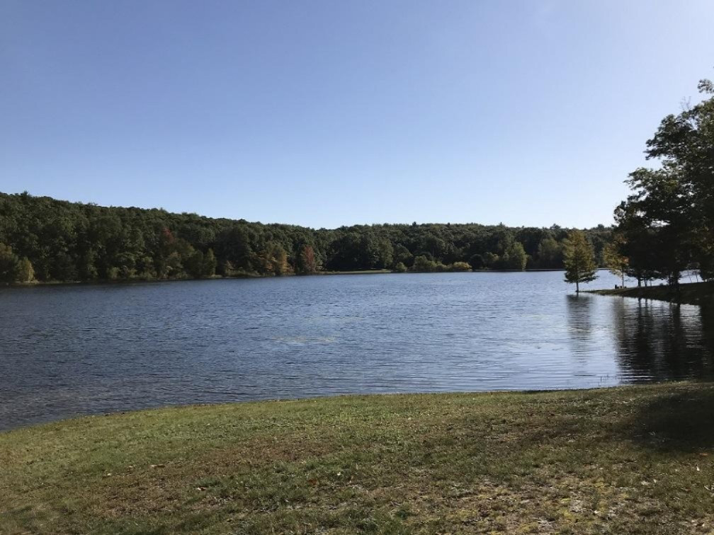7527 Homer Lake Road Hesperia, MI 49421 - Photo 18 of 42 Gallery Image 18