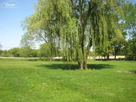 1100 North Baldwin Road Owosso, MI 48867 - Photo 9 of 10 20132143-8.JPG