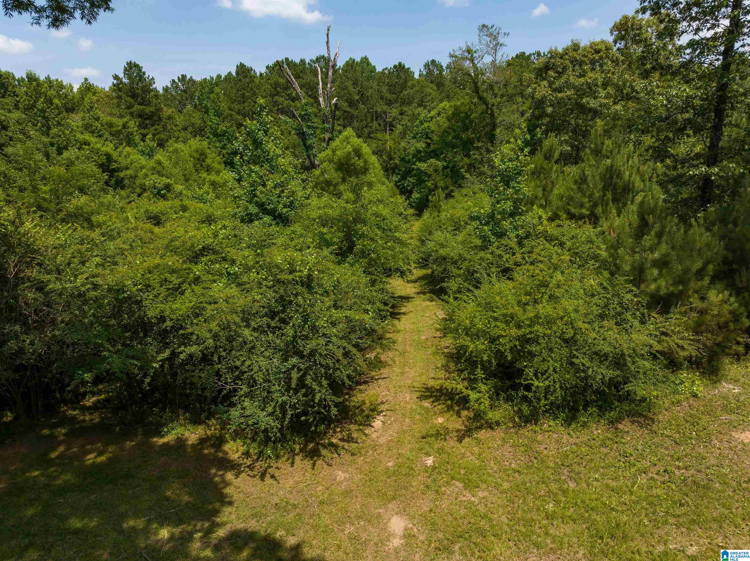 433 Yorkshire Road Columbiana, AL 35051 - Photo 50 of 50