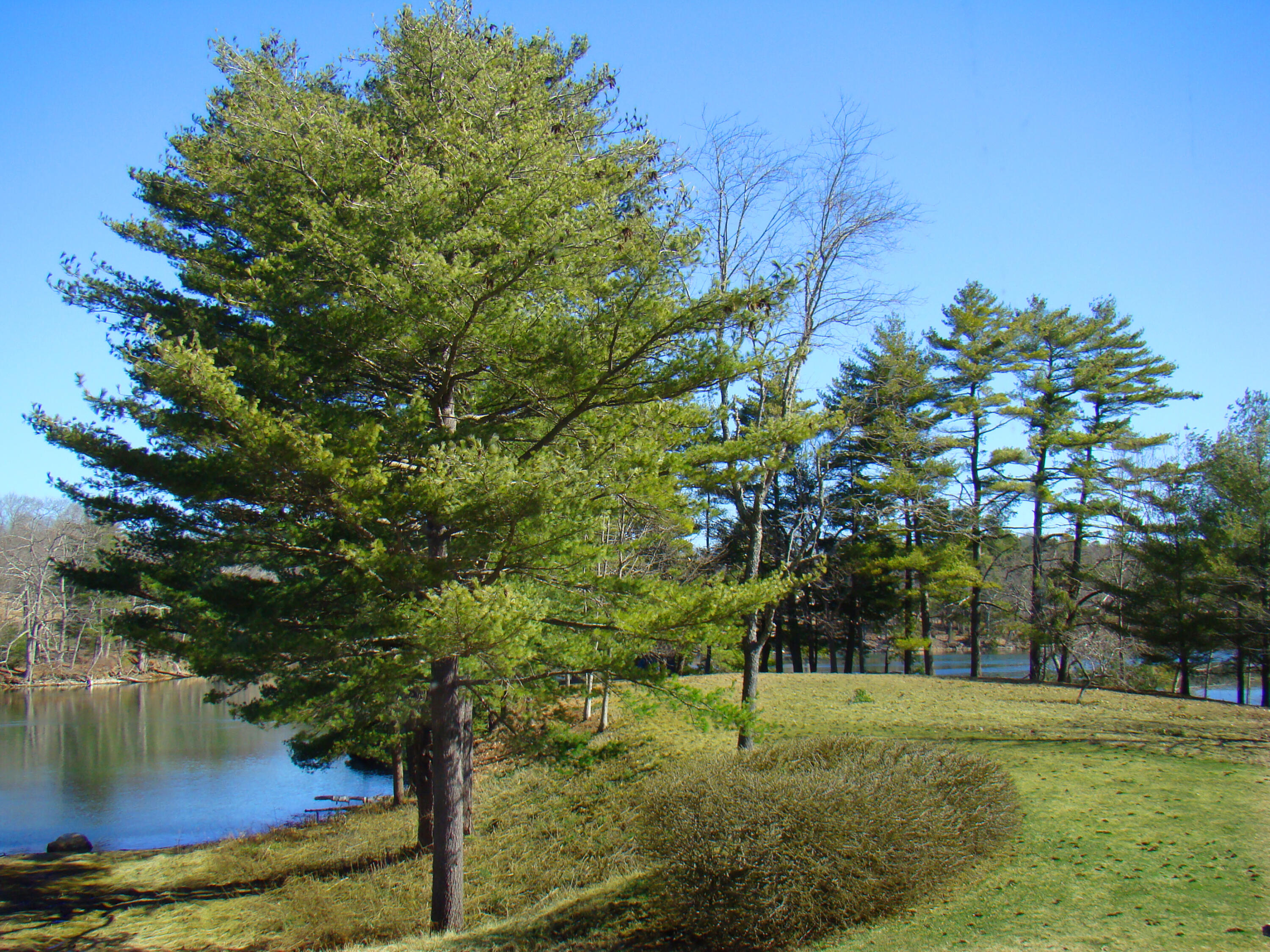 28 Lewis Point Road, Unit 2 Damariscotta, ME 04543 - Photo 24 of 26 DSC01976-mod