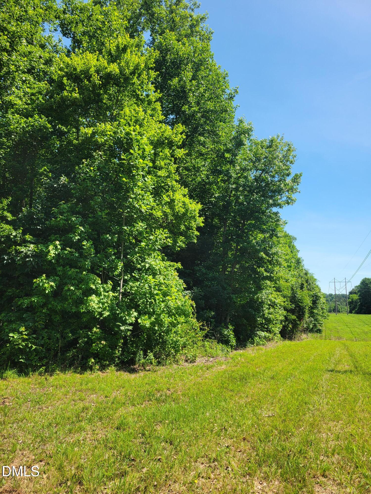 0 Hicks Farm Road Staley, NC 27355 - Photo 16 of 30 20260529_111611