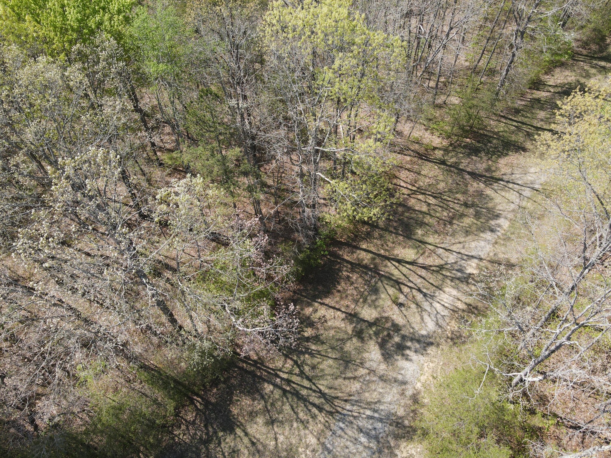 60 Hideaway Cabin Road Altamont, TN 37301 - Photo 13 of 31 Gallery Image 13
