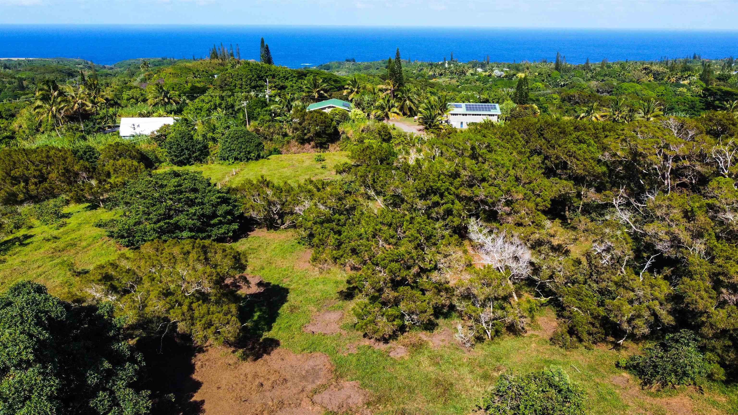 Lupi Road Haiku, HI 96708 - Photo 4 of 18 a view of a large yard