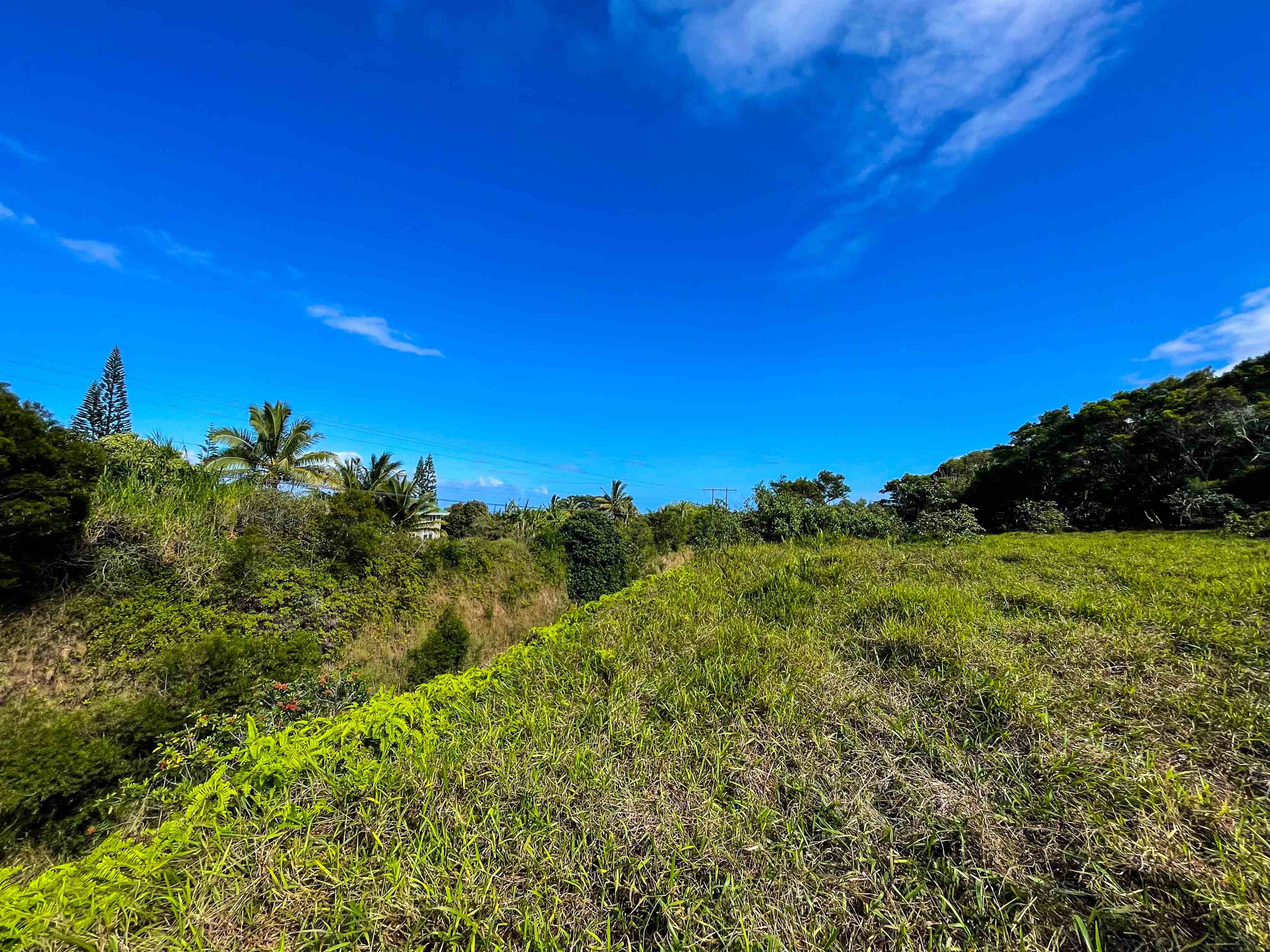 Lupi Road Haiku, HI 96708 - Photo 6 of 18 a view of a bunch of trees and bushes