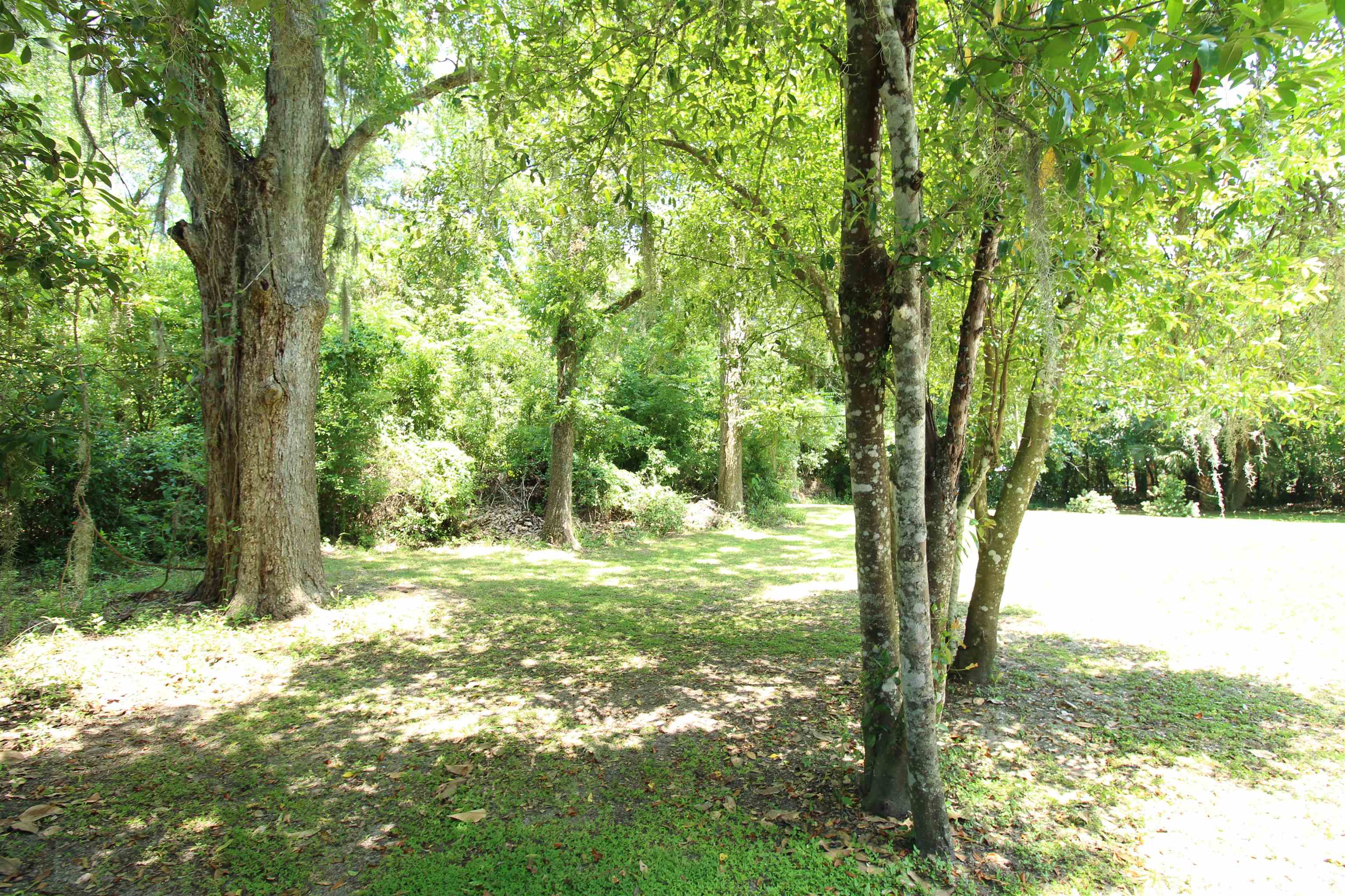 485 Southwest Jordan Street Madison, FL 32340 - Photo 48 of 64